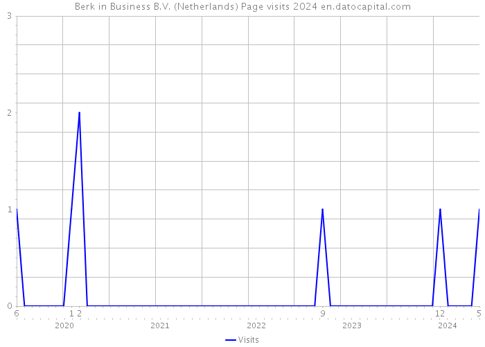 Berk in Business B.V. (Netherlands) Page visits 2024 