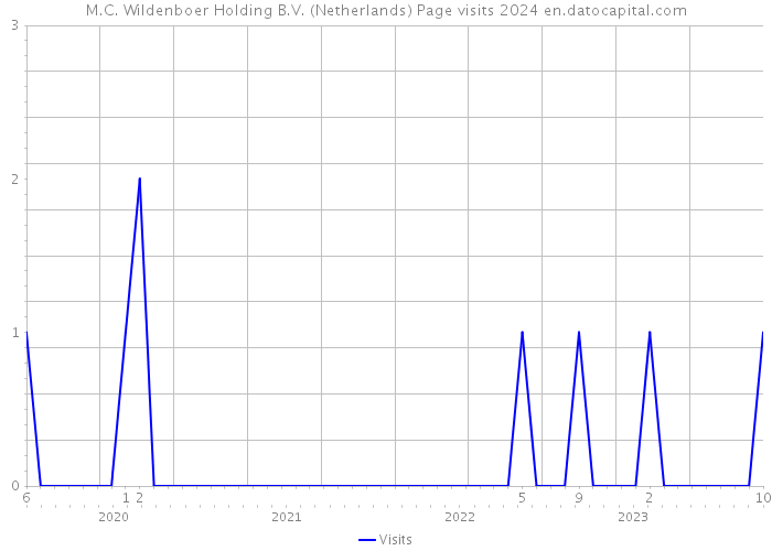 M.C. Wildenboer Holding B.V. (Netherlands) Page visits 2024 