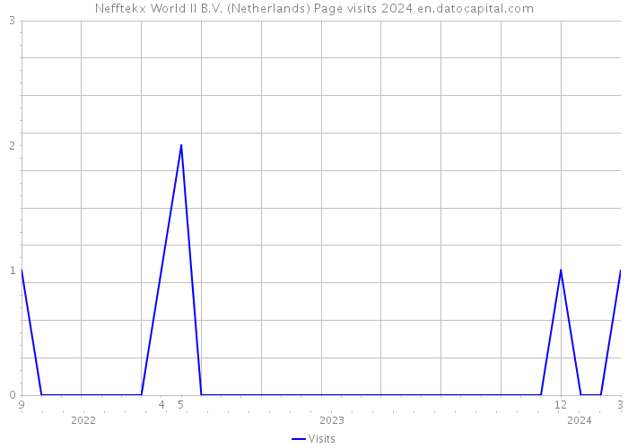 Nefftekx World II B.V. (Netherlands) Page visits 2024 