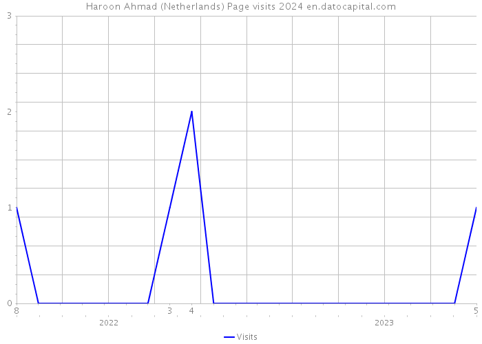 Haroon Ahmad (Netherlands) Page visits 2024 
