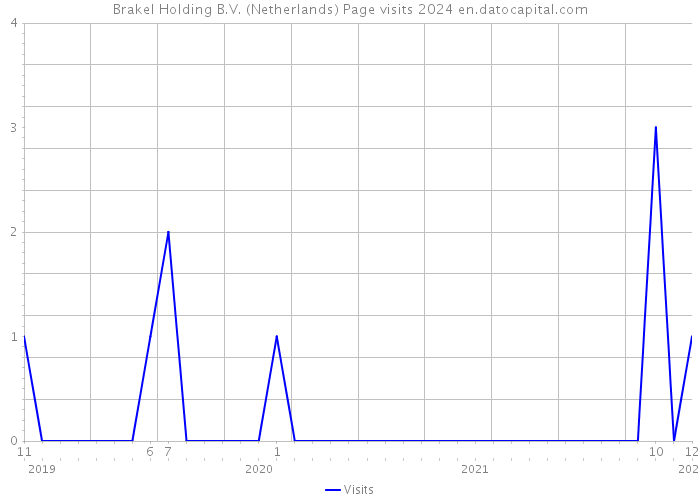 Brakel Holding B.V. (Netherlands) Page visits 2024 