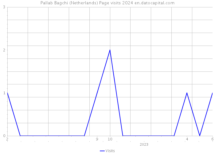 Pallab Bagchi (Netherlands) Page visits 2024 