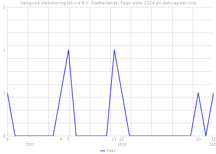 Vastgoed Verbetering Noord B.V. (Netherlands) Page visits 2024 