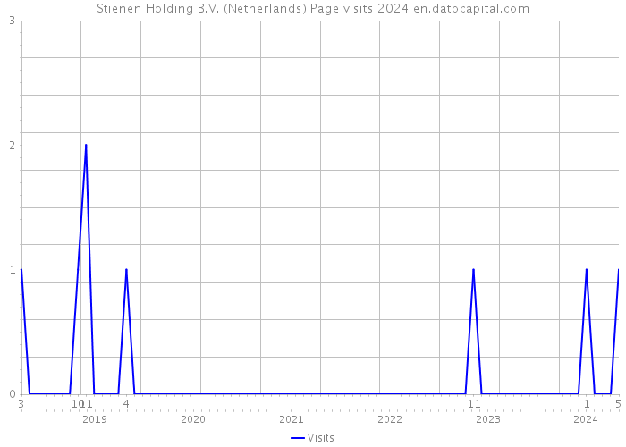 Stienen Holding B.V. (Netherlands) Page visits 2024 