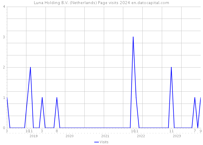 Luna Holding B.V. (Netherlands) Page visits 2024 