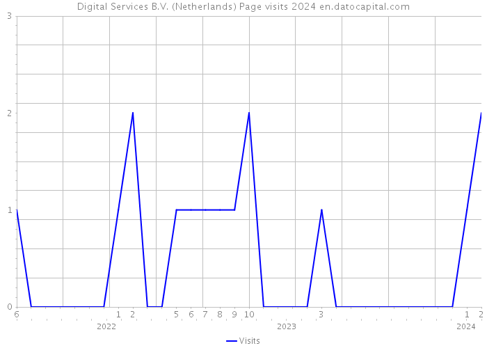 Digital Services B.V. (Netherlands) Page visits 2024 