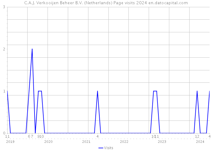 C.A.J. Verkooijen Beheer B.V. (Netherlands) Page visits 2024 