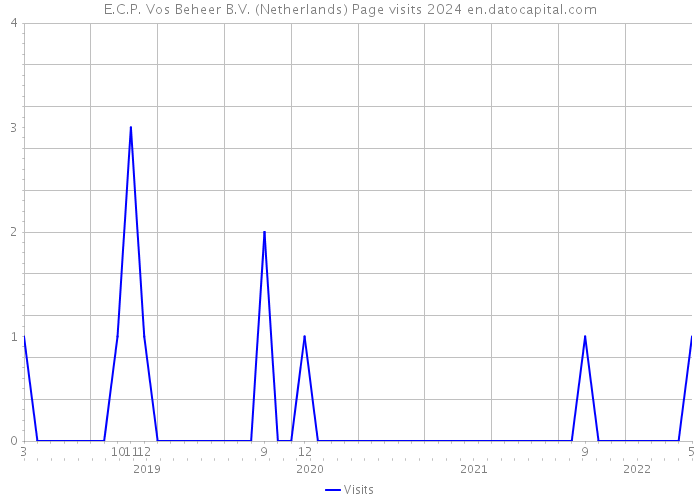 E.C.P. Vos Beheer B.V. (Netherlands) Page visits 2024 