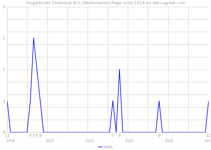 Vingerhoets Oisterwijk B.V. (Netherlands) Page visits 2024 