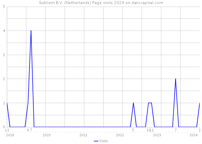 Subliem B.V. (Netherlands) Page visits 2024 