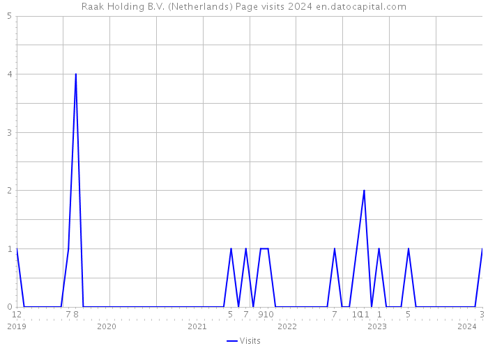 Raak Holding B.V. (Netherlands) Page visits 2024 