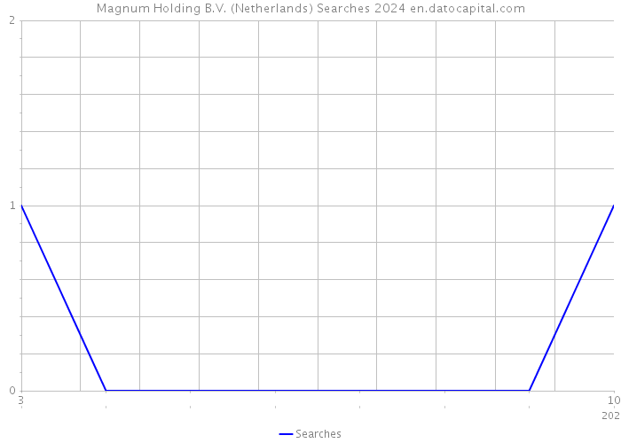 Magnum Holding B.V. (Netherlands) Searches 2024 