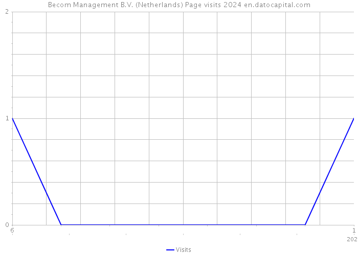 Becom Management B.V. (Netherlands) Page visits 2024 