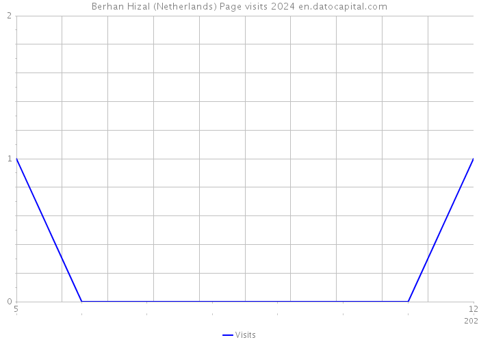 Berhan Hizal (Netherlands) Page visits 2024 