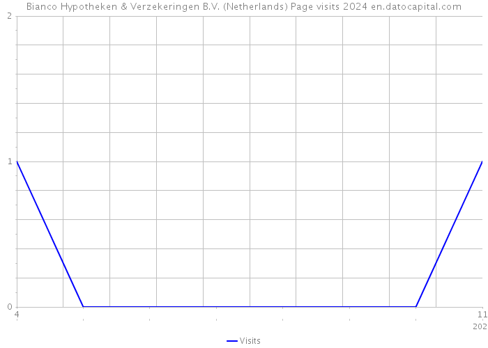 Bianco Hypotheken & Verzekeringen B.V. (Netherlands) Page visits 2024 