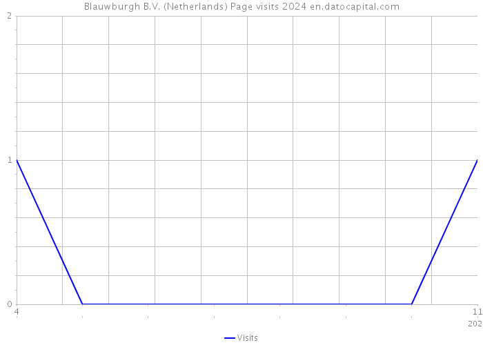 Blauwburgh B.V. (Netherlands) Page visits 2024 
