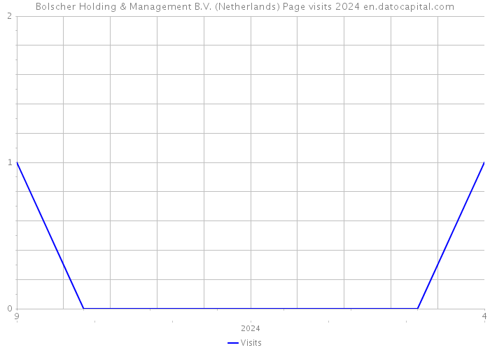 Bolscher Holding & Management B.V. (Netherlands) Page visits 2024 