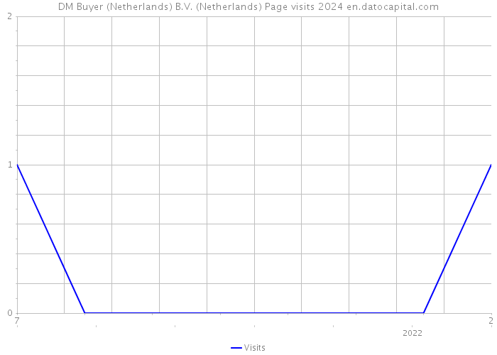 DM Buyer (Netherlands) B.V. (Netherlands) Page visits 2024 