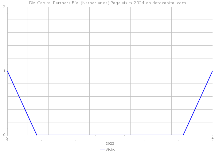 DM Capital Partners B.V. (Netherlands) Page visits 2024 