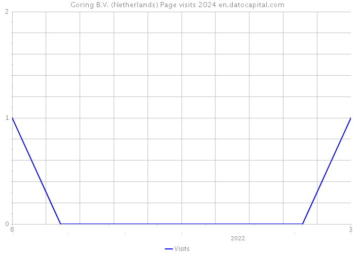 Goring B.V. (Netherlands) Page visits 2024 