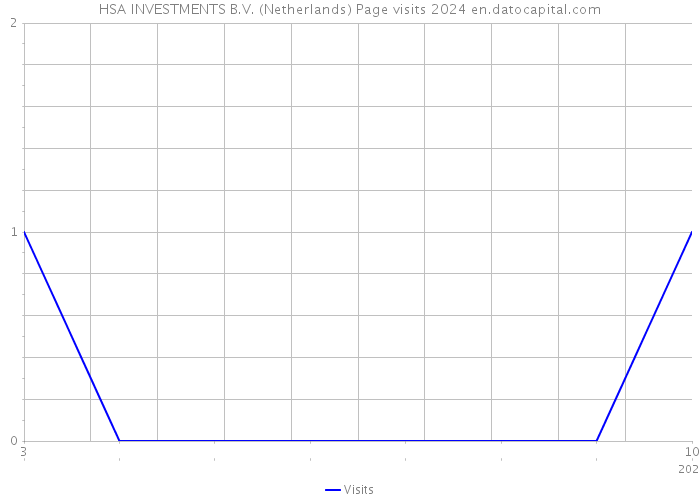 HSA INVESTMENTS B.V. (Netherlands) Page visits 2024 