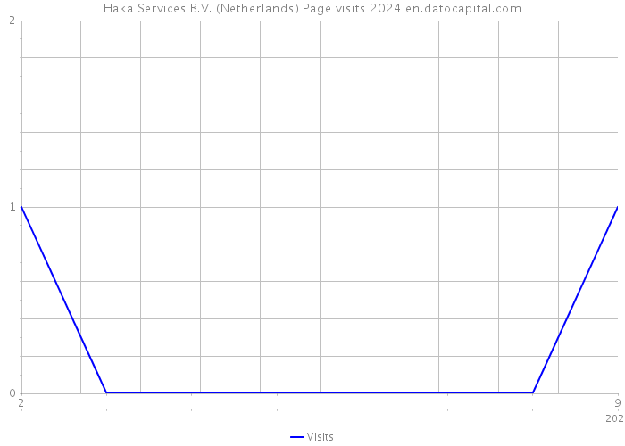Haka Services B.V. (Netherlands) Page visits 2024 