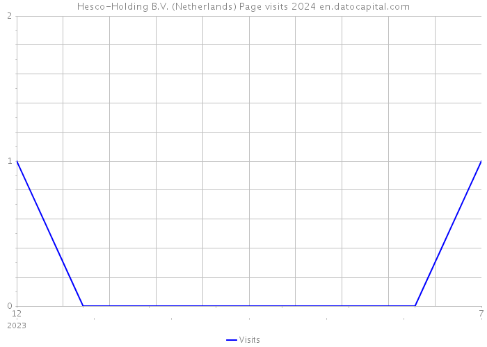 Hesco-Holding B.V. (Netherlands) Page visits 2024 