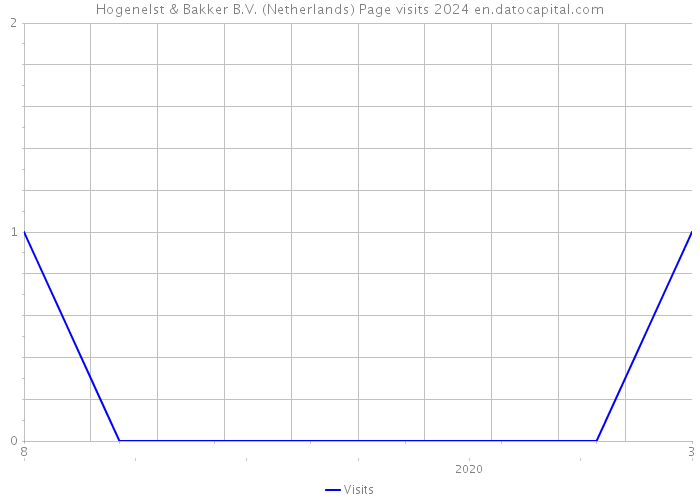 Hogenelst & Bakker B.V. (Netherlands) Page visits 2024 