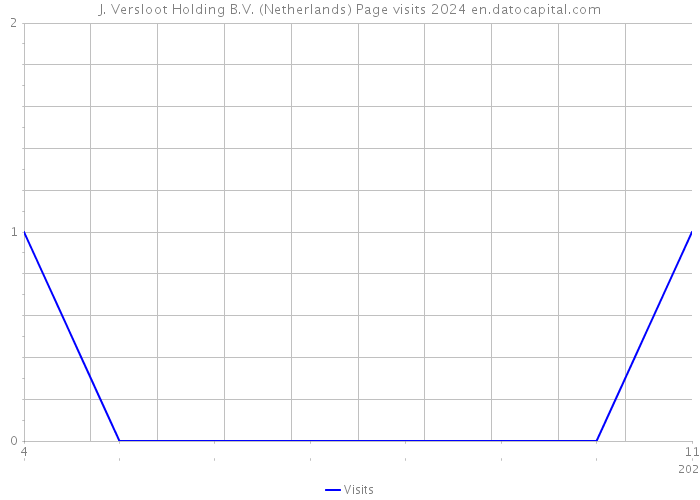 J. Versloot Holding B.V. (Netherlands) Page visits 2024 