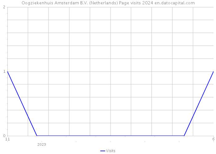 Oogziekenhuis Amsterdam B.V. (Netherlands) Page visits 2024 
