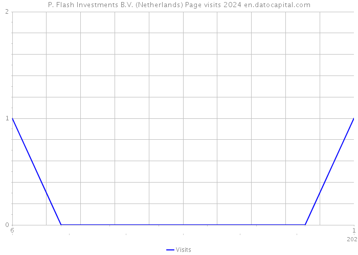 P. Flash Investments B.V. (Netherlands) Page visits 2024 