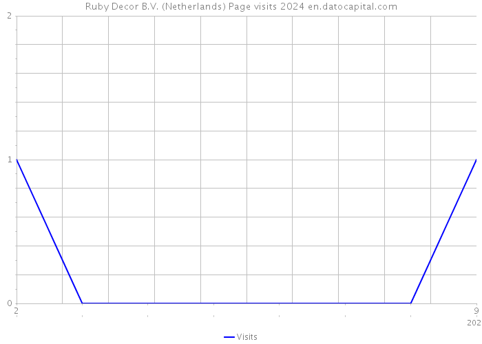 Ruby Decor B.V. (Netherlands) Page visits 2024 