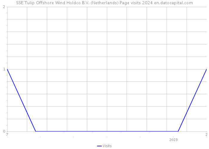 SSE Tulip Offshore Wind Holdco B.V. (Netherlands) Page visits 2024 