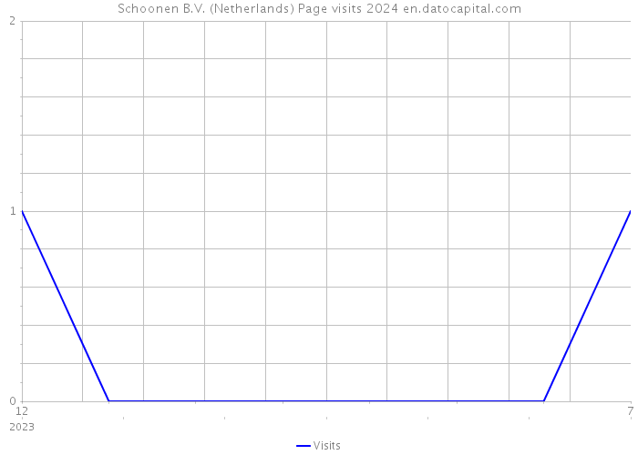 Schoonen B.V. (Netherlands) Page visits 2024 
