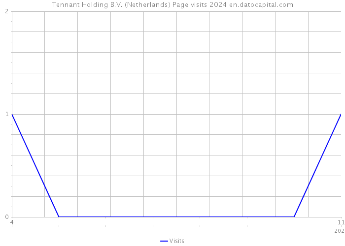 Tennant Holding B.V. (Netherlands) Page visits 2024 