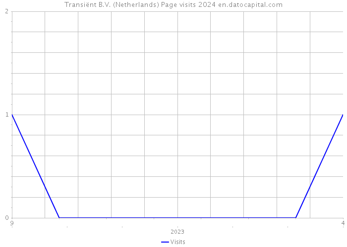Transiënt B.V. (Netherlands) Page visits 2024 