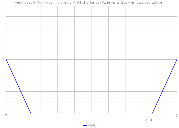 Verkroost & Verkroost Holding B.V. (Netherlands) Page visits 2024 