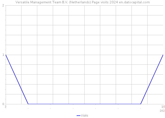 Versatile Management Team B.V. (Netherlands) Page visits 2024 