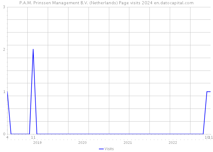 P.A.M. Prinssen Management B.V. (Netherlands) Page visits 2024 