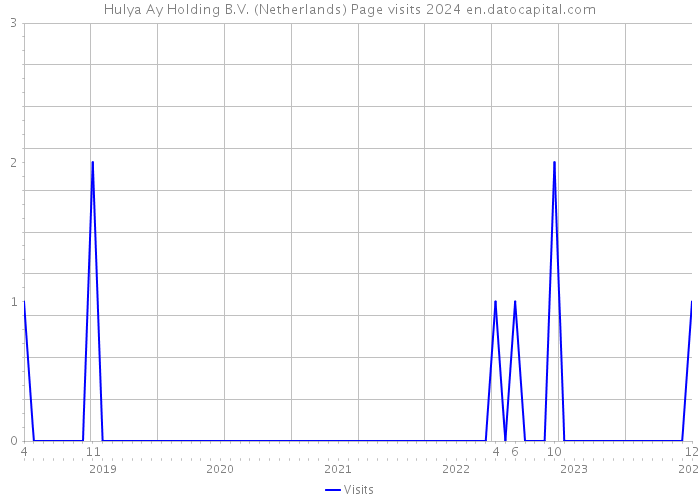 Hulya Ay Holding B.V. (Netherlands) Page visits 2024 