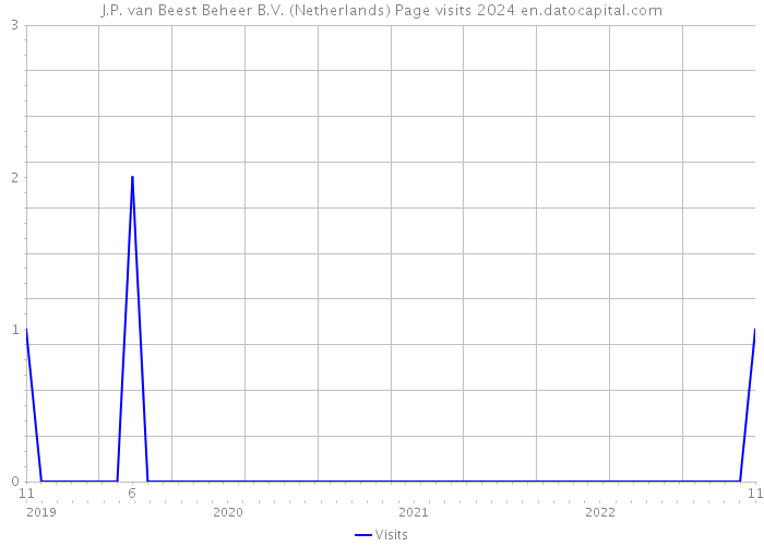 J.P. van Beest Beheer B.V. (Netherlands) Page visits 2024 