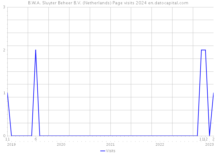 B.W.A. Sluyter Beheer B.V. (Netherlands) Page visits 2024 