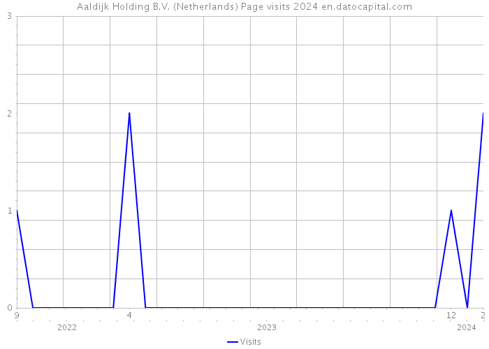 Aaldijk Holding B.V. (Netherlands) Page visits 2024 