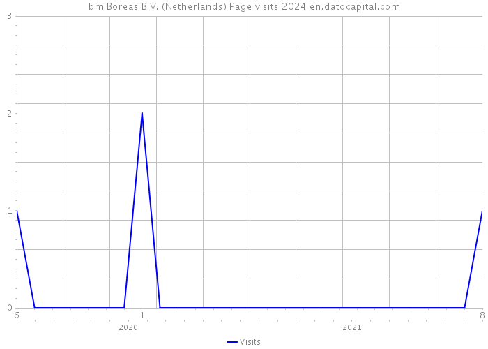 bm Boreas B.V. (Netherlands) Page visits 2024 