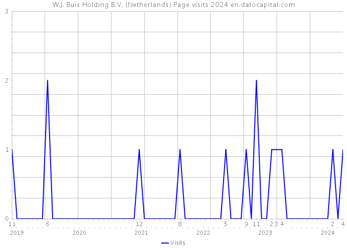 W.J. Buis Holding B.V. (Netherlands) Page visits 2024 
