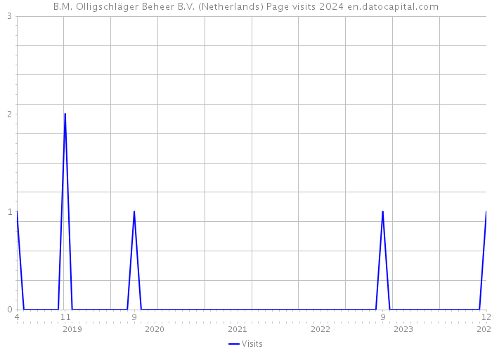 B.M. Olligschläger Beheer B.V. (Netherlands) Page visits 2024 
