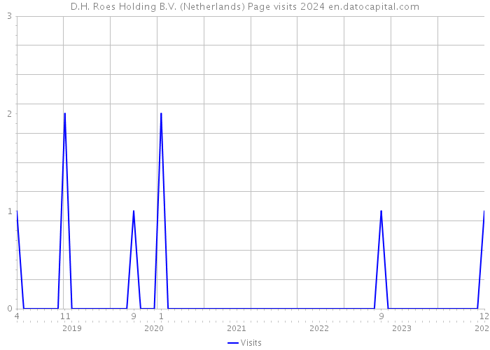 D.H. Roes Holding B.V. (Netherlands) Page visits 2024 