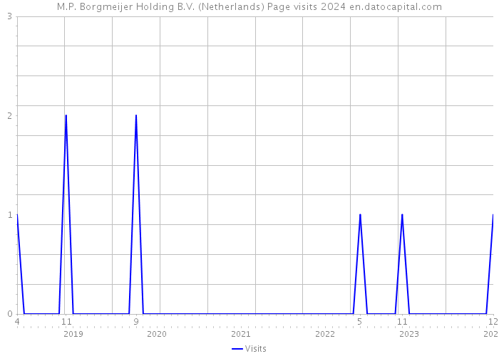 M.P. Borgmeijer Holding B.V. (Netherlands) Page visits 2024 