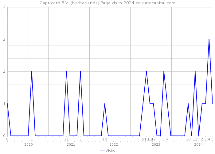 Capricorn B.V. (Netherlands) Page visits 2024 