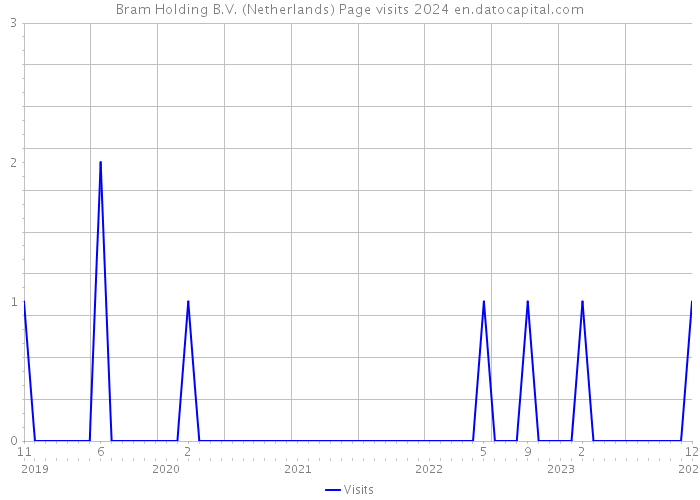 Bram Holding B.V. (Netherlands) Page visits 2024 
